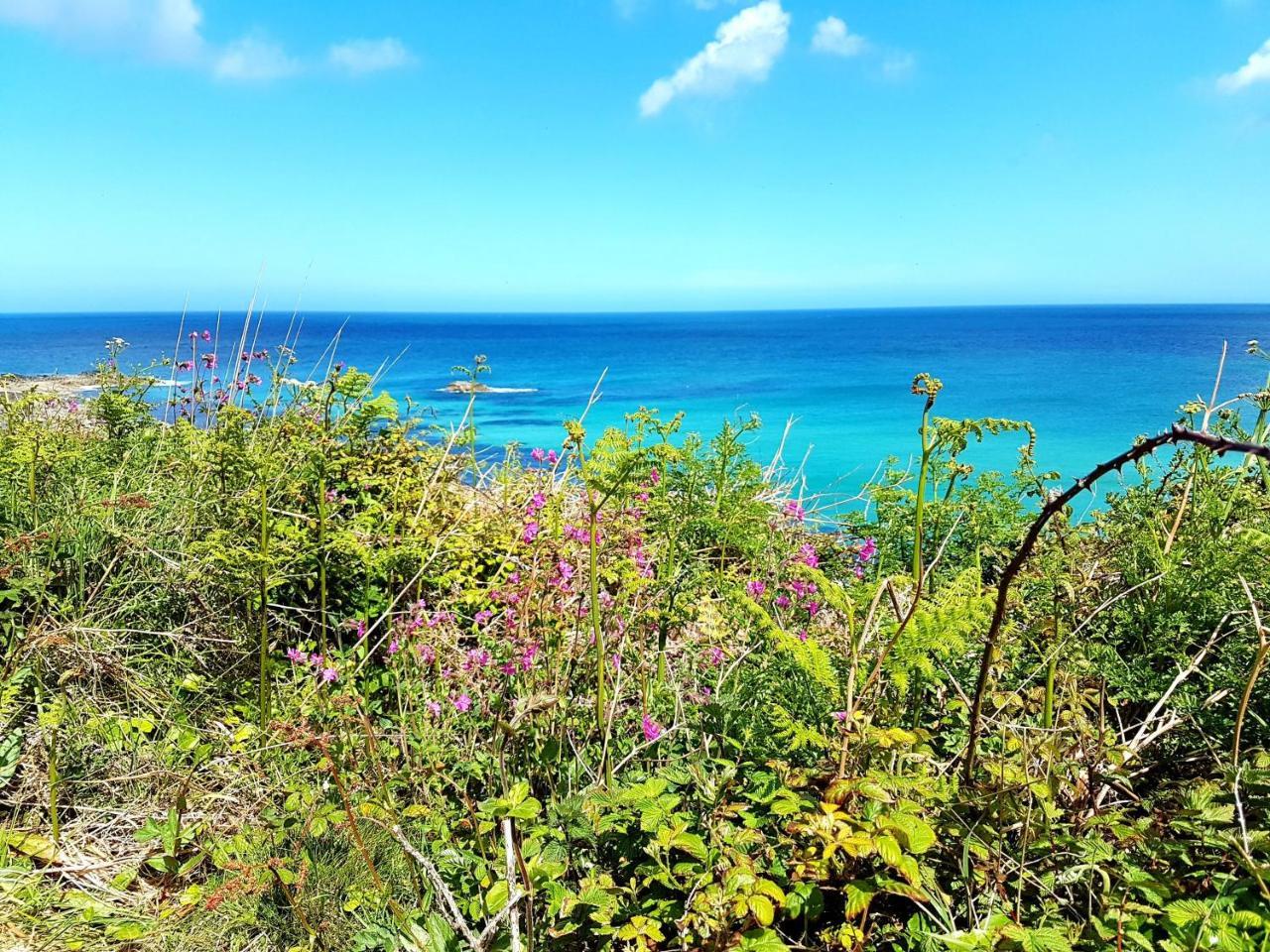 Saltwater Hotell St Ives Eksteriør bilde